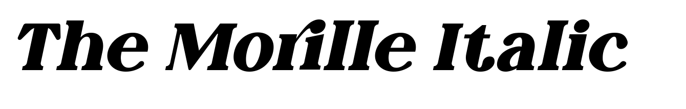 The Morille Italic